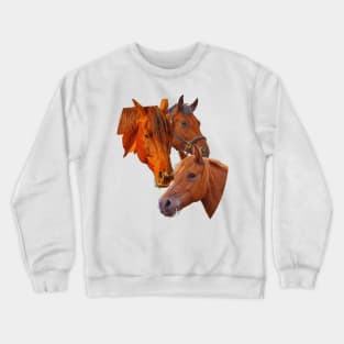 Grateful picture for horse lovers - beautiful horses Crewneck Sweatshirt